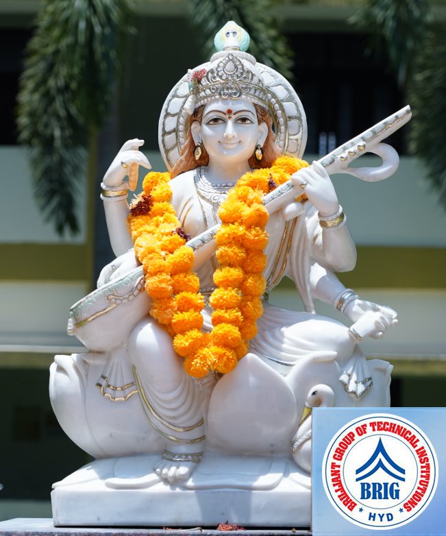 About Us BRIG Core Values